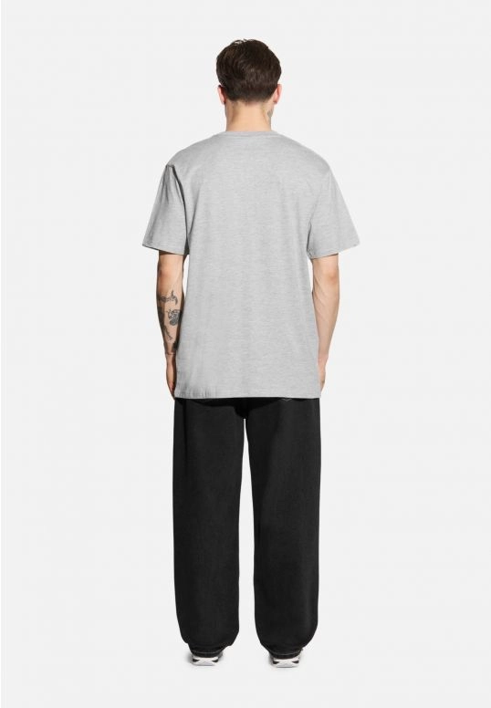 Koszulka męska t-shirt Prosto Base szara