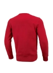 Bluza meska Pitbull Pit Bull Hilltop Terry crewneck czerwona