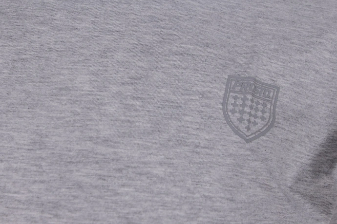 Koszulka męska t-shirt Prosto Klasyk Teas szara