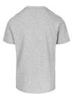 Koszulka męska T-Shirt Pit Bull Pitbull Scott szara