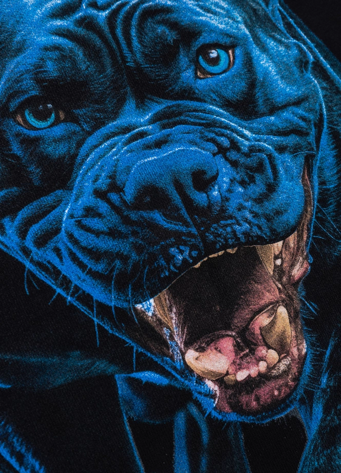 Bluza męska z kapturem Pitbull Pit Bull In Blue hooded czarna