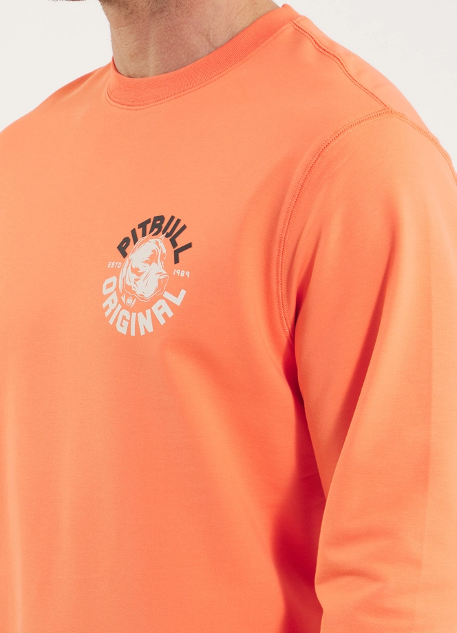 Bluza męska bez kaptura Pitbull Pit Bull Dog SD łososiowa pomarańczowa