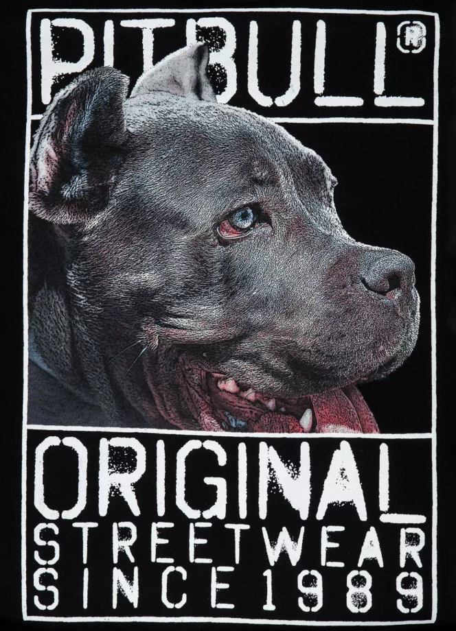 Bluza męska bez kaptura Pitbull Pit Bull Orgin czarna