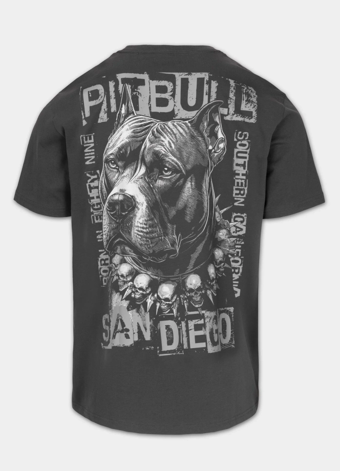 Koszulka męska T-Shirt Pitbull West Coast Blacky szary