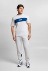 Koszulka męska t-shirt Prosto Root szaro/granatowa