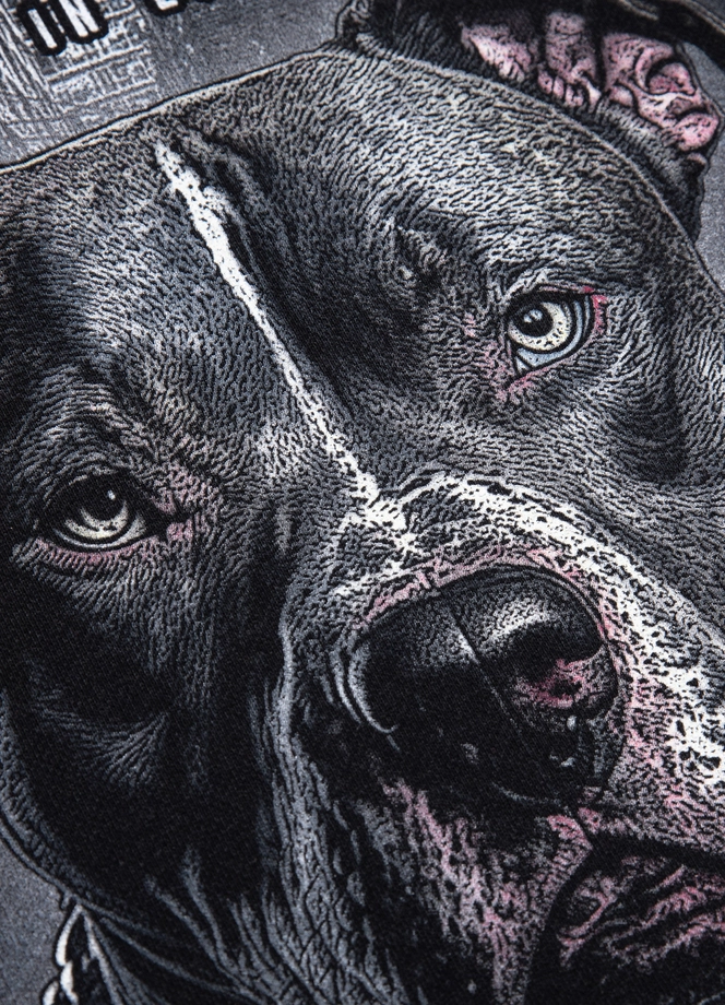 Bluza męska Pitbull Pit Bull Street King crewneck czarna