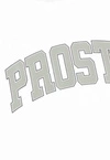 Koszulka męska t-shirt Prosto College biała