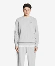 Bluza męska Prosto Basic crewneck szara