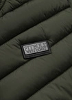 Kurtka przejsciowa Pit Bull Halley Jacket olive
