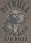 Koszulka męska T-Shirt Pit Bull Pitbull Denim Washed Raw Pacific taupe