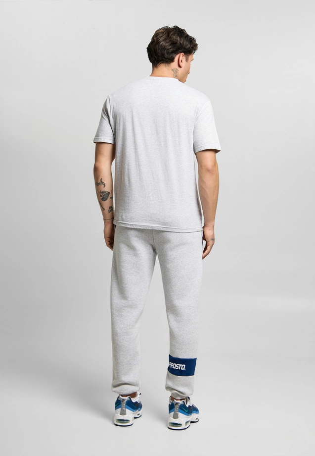 Koszulka męska t-shirt Prosto Root szaro/granatowa