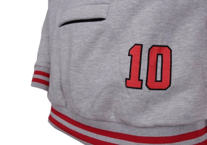 Bluza z kapturem BOR Bulls Hoody Premium Raglan grey