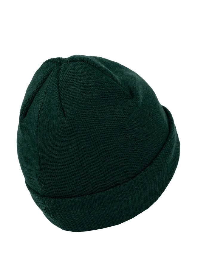 Czapka zimowa Pit Bull Small Logo Beanie zielona