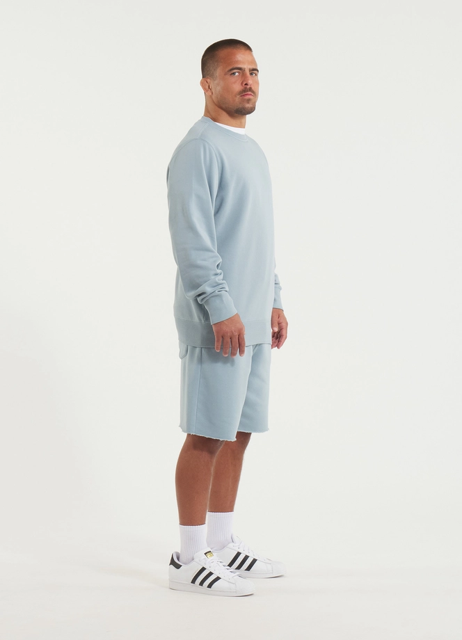 Bluza męska bez kaptura Pitbull Pit Bull Lancaster 2 Washed jasno niebieska