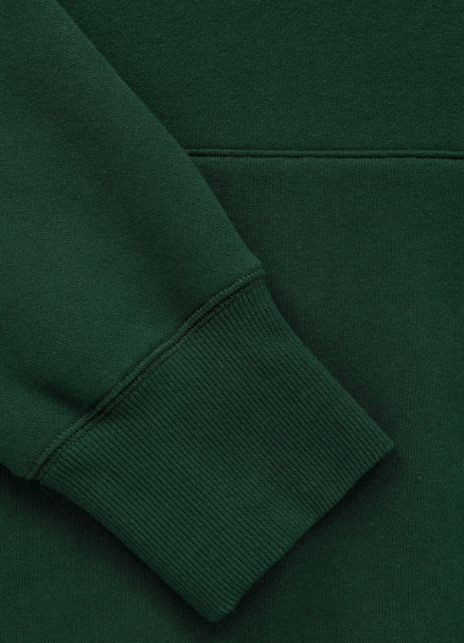 Bluza męska z kapturem Pit Bull Norton zielona