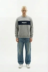 Bluza męska Prosto Root crewneck szara