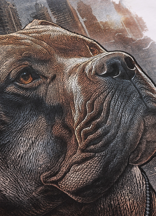 Koszulka męska T-Shirt Pit Bull Pitbull Hero biała