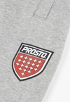 Spodnie dresowe męskie oversize Prosto Infine szare