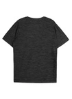Koszulka męska T-shirt Pit Bull Performance Pro+ Casual Sport Small Logo czarna