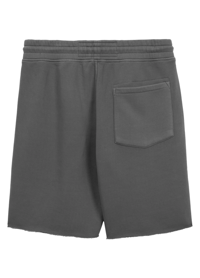 Spodenki szorty dresowe męskie Pitbull Lancaster 2 Washed szare