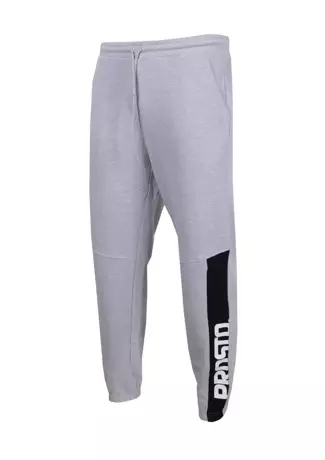 Spodnie dresowe męskie Prosto Klasyk Guss szare