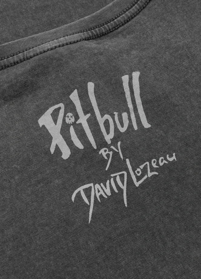 Koszulka damska T-shirt Pit Bull DoubleTrouble sprany szary