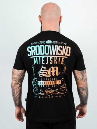 Koszulka męska t-shirt Środowisko Miejskie Theme 2.0 czarna/niebieska