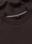 Bluza męska bez kaptura Pit Bull Small Logo 25 brązowa