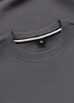 Bluza męska bez kaptura Pit Bull Charger Small Logo grafitowa