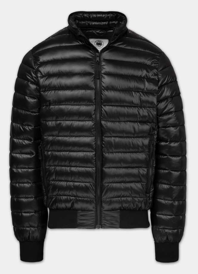 Kurtka męska przejściowa Pit Bull Harper czarna