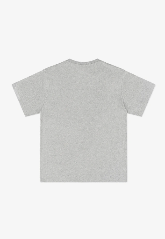 Koszulka męska t-shirt Prosto Infine szara