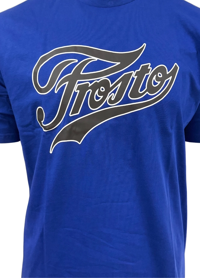 Koszulka męska t-shirt Prosto Varsity niebieska