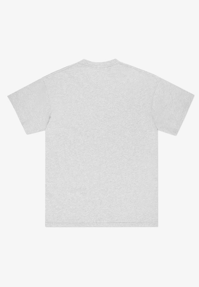 Koszulka męska t-shirt Prosto College szara