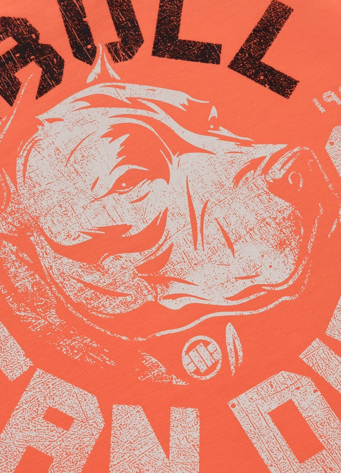 Bluza męska bez kaptura Pitbull Pit Bull Dog SD łososiowa pomarańczowa