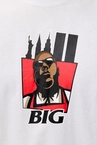 Koszulka męska t-shirt Mass Dnm Big Logo biała