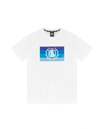 Koszulka męska t-shirt Diil Pallet biała