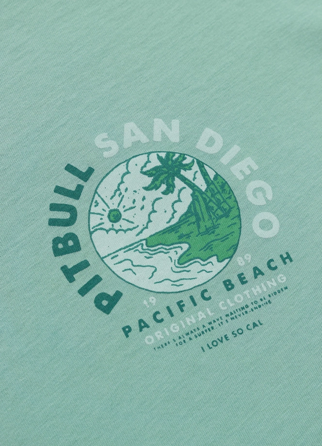 Koszulka damska T-shirt oversize Pit Bull Planet Surf miętowa