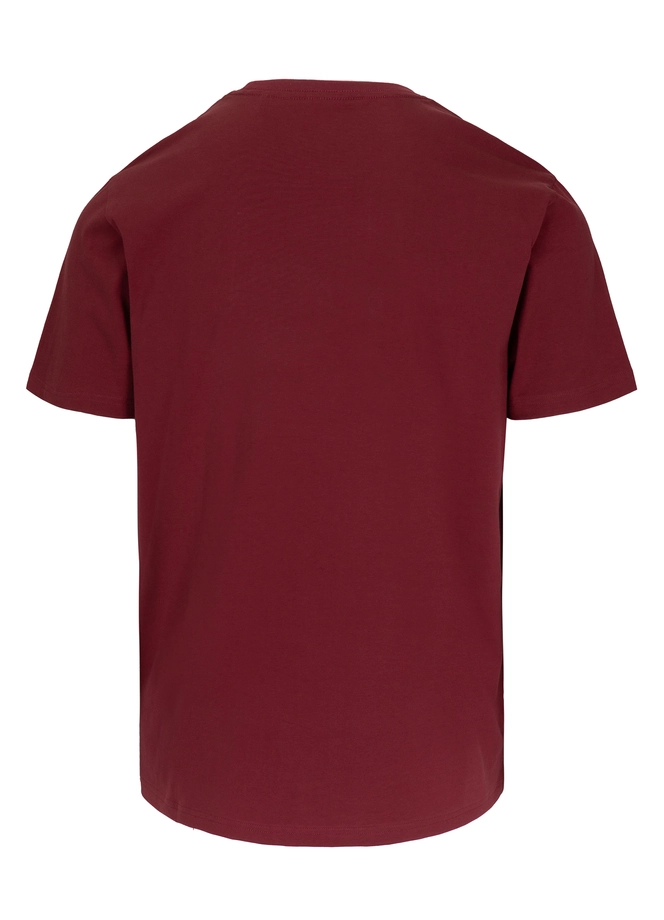 Koszulka męska T-Shirt Pit Bull Pitbull Logo Palms bordowa