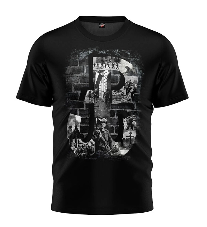 Koszulka męska T-shirt Public Enemy PW HD czarny