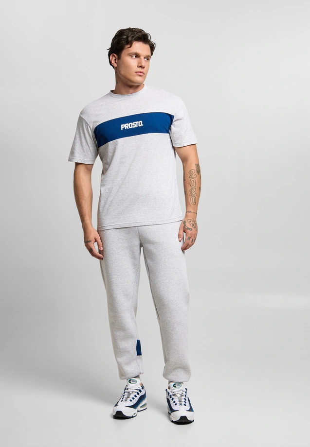 Koszulka męska t-shirt Prosto Root szaro/granatowa