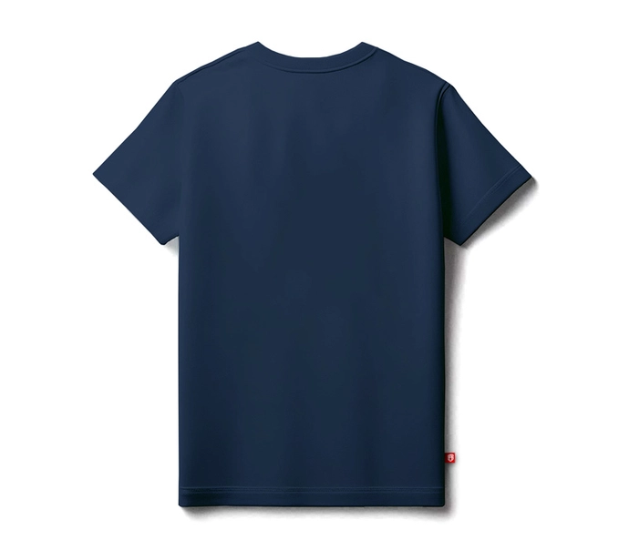Koszulka męska t-shirt Street Autonomy Kings granatowa