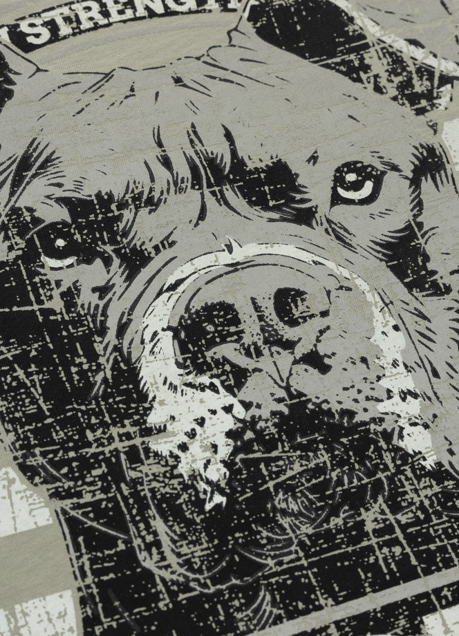 Koszulka męska T-Shirt Pit Bull Pitbull Troublemaker dusty salvia