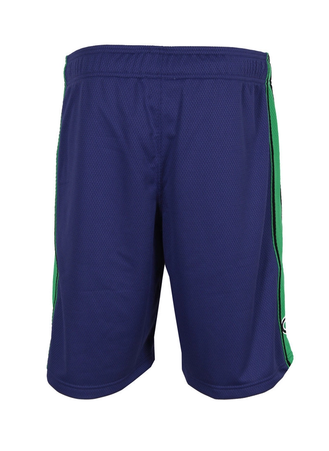 Spodenki dresowe Champion Basket violet