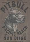Koszulka męska T-Shirt Pit Bull Pitbull Denim Washed Raw Pacific taupe