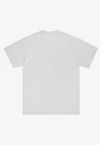 Koszulka męska t-shirt Prosto College szara