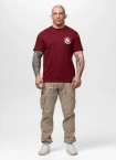Koszulka męska T-Shirt Pit Bull Pitbull Dog SD bordowa