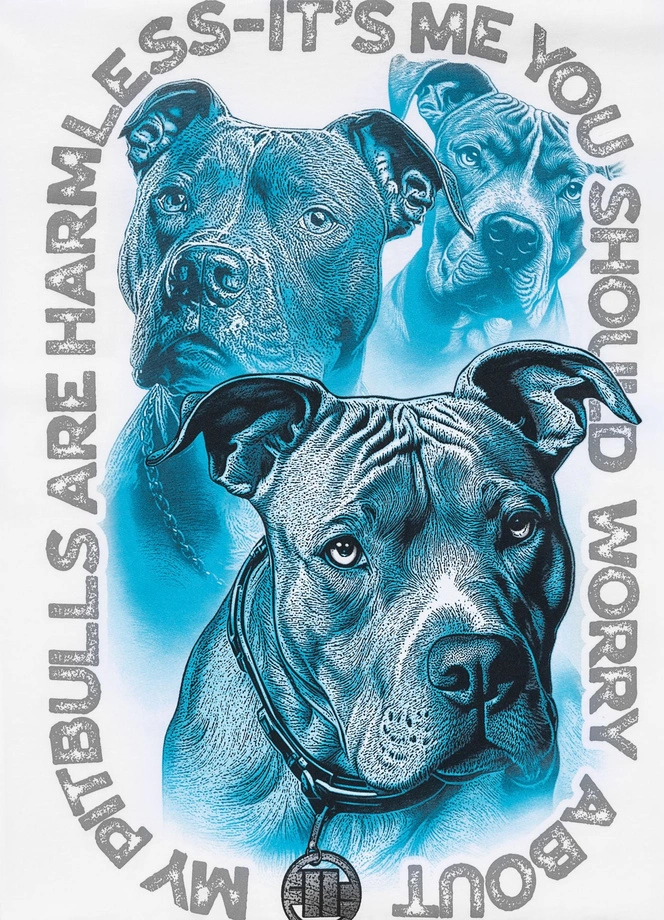 Koszulka męska T-Shirt Pit Bull Protector biała