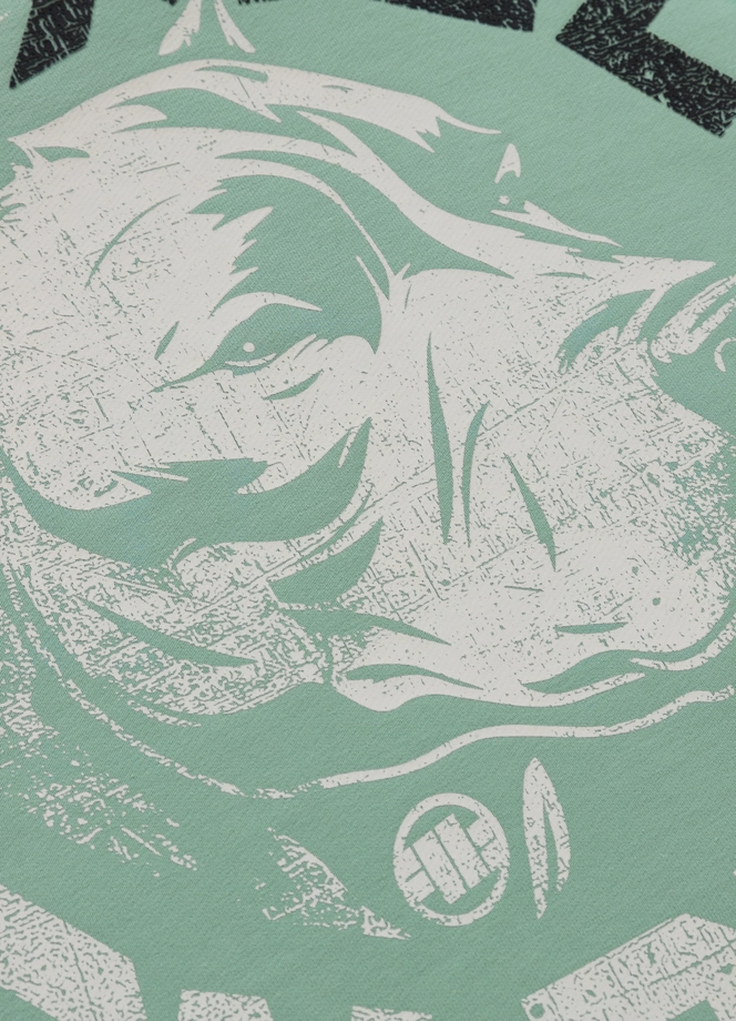 Komplet męski Pitbull Pit Bull Dog SD/Nugget miętowy