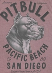 Koszulka męska T-Shirt Pit Bull Pitbull Denim Washed Raw Pacific sprany burgund