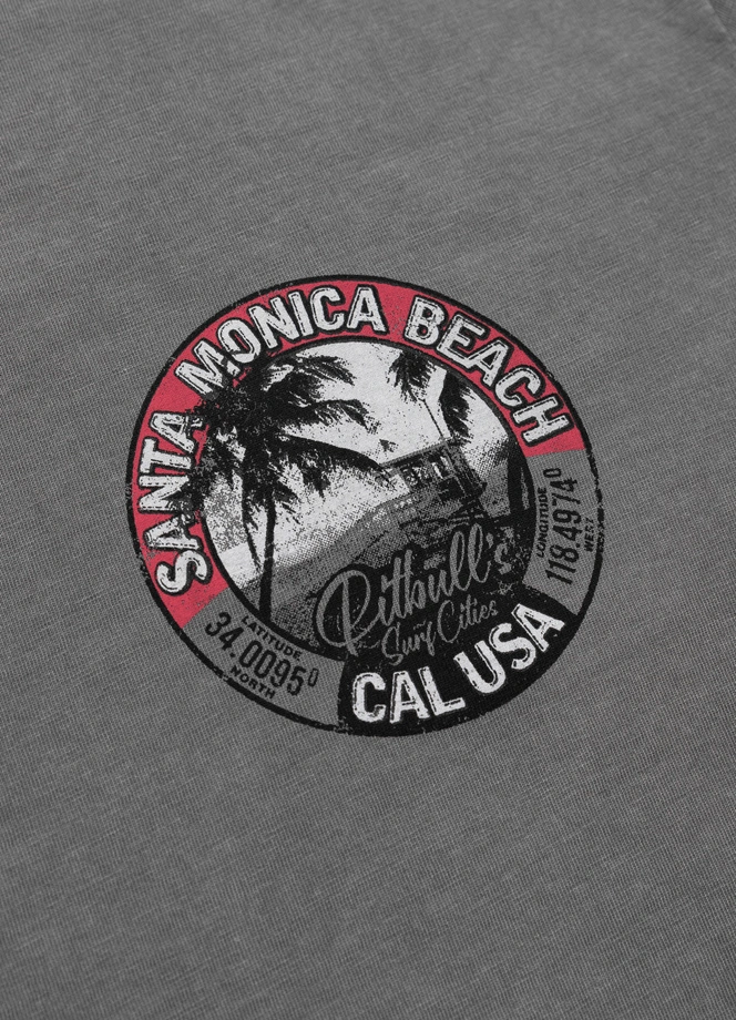 Koszulka męska T-Shirt Pit Bull Pitbull Denim Washed Oceanside 25 szara